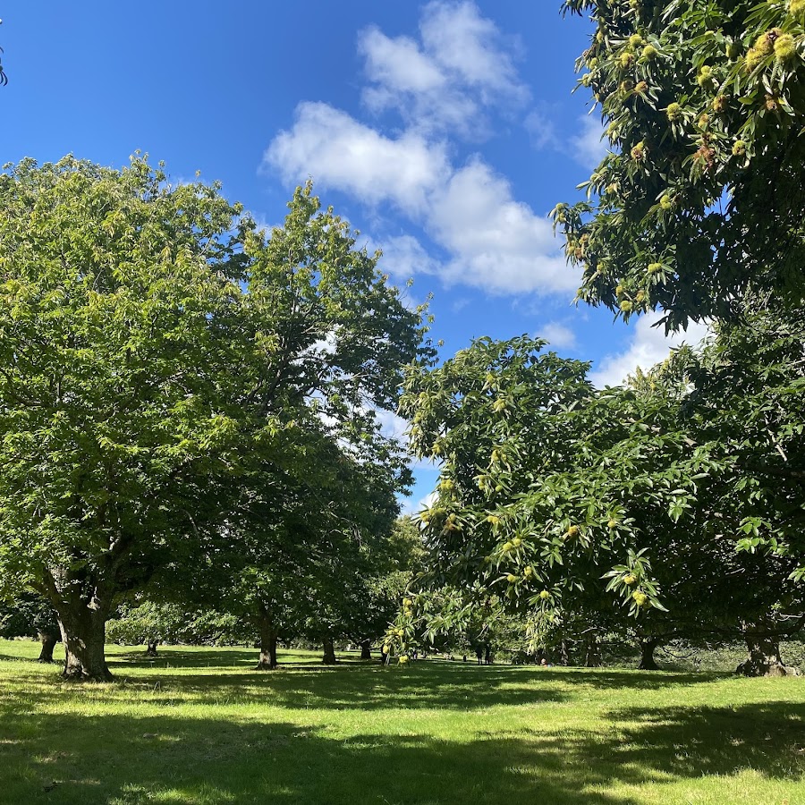 Kookootonga Chestnut and Walnut Farm