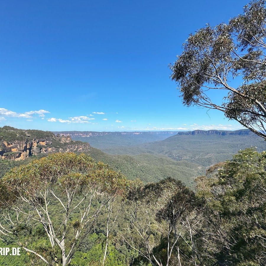 Landslide Lookout