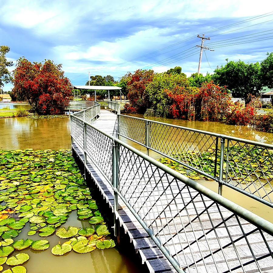 Healthy Sports Clubs project, Lockington Pony Club