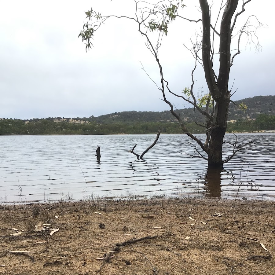 Healthy Sports Club Project - Long Gully