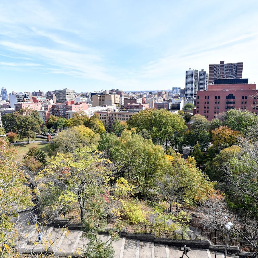 Marcus Garvey Park
