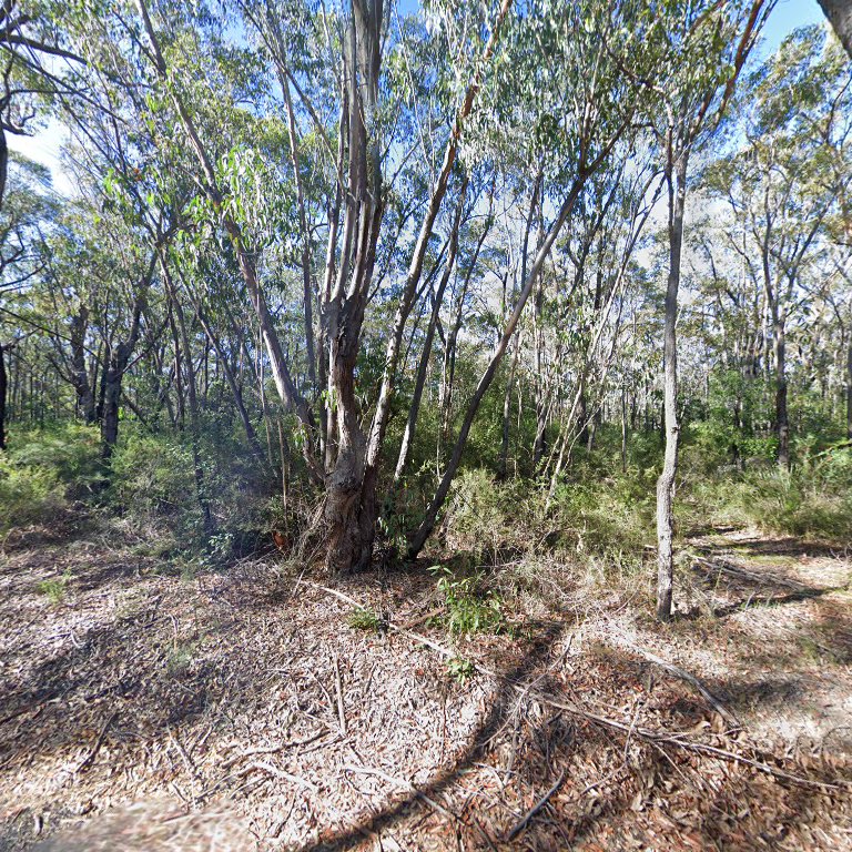 Martins Lookout