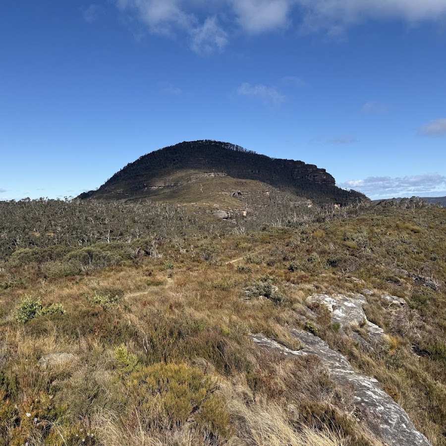 Mount Banks Summit walk