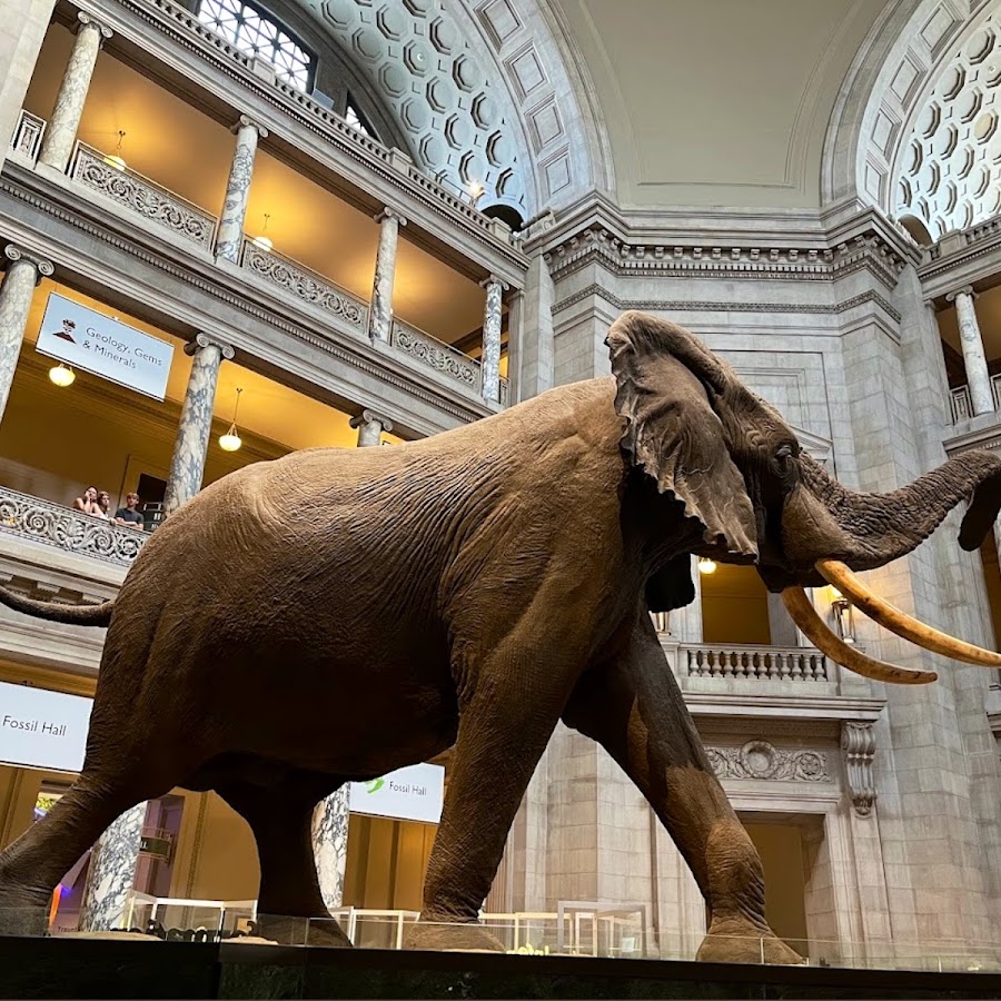 National Museum of Natural History