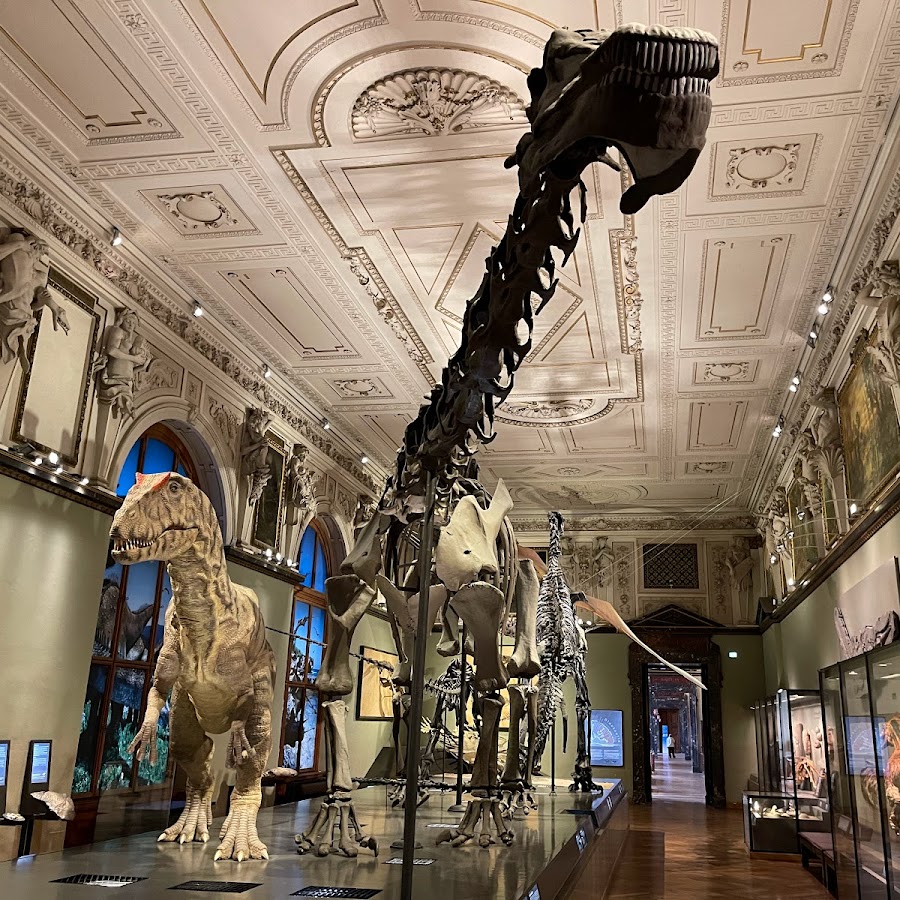 Naturhistorisches Museum