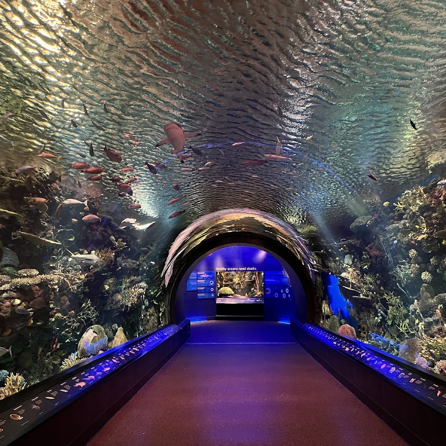 New York Aquarium