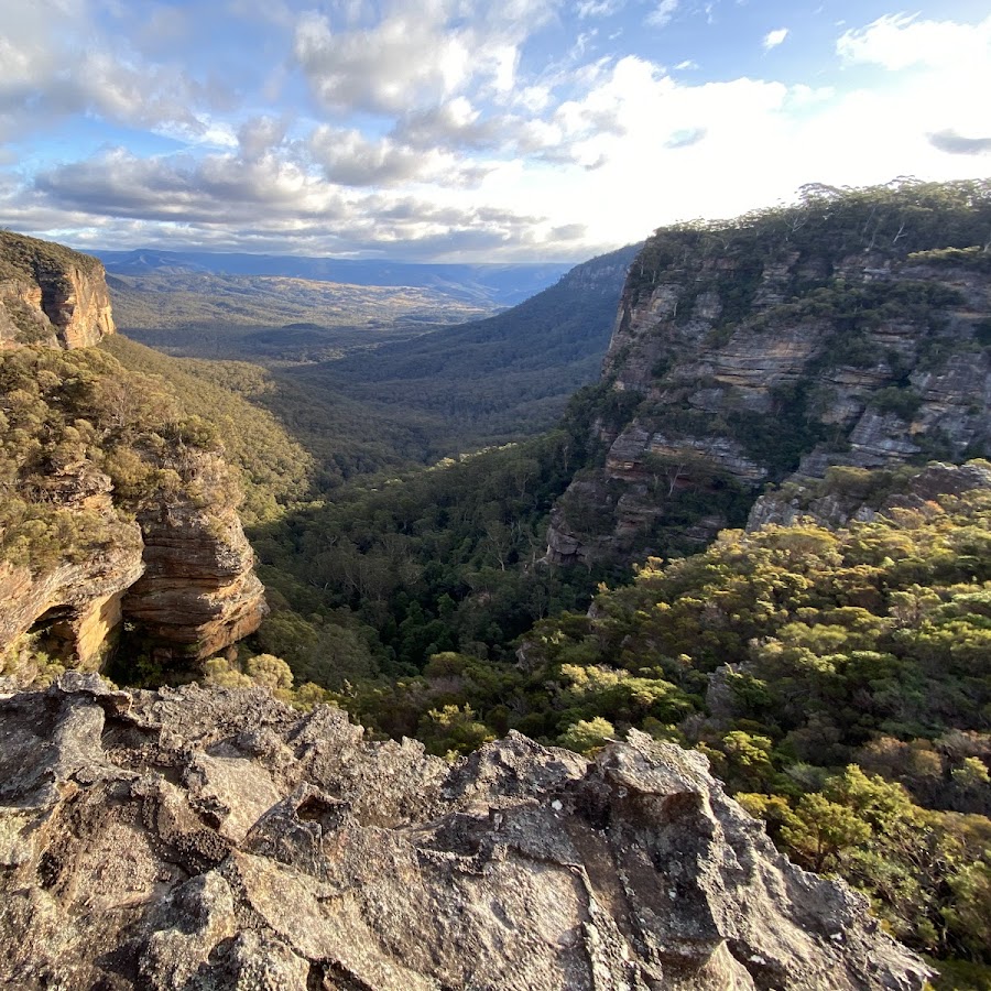 Norths Lookout