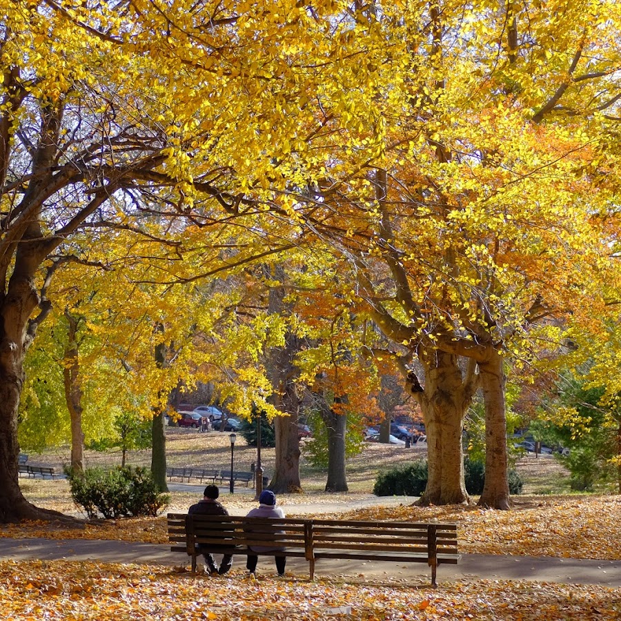Owl's Head Park