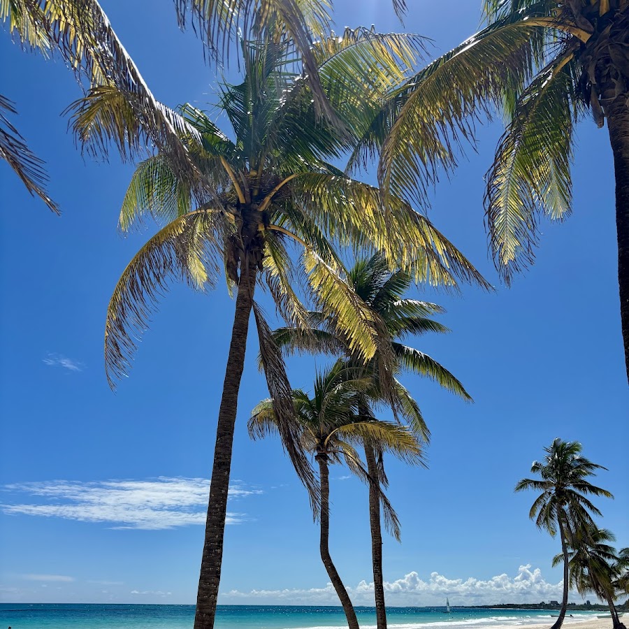Paradise Beach