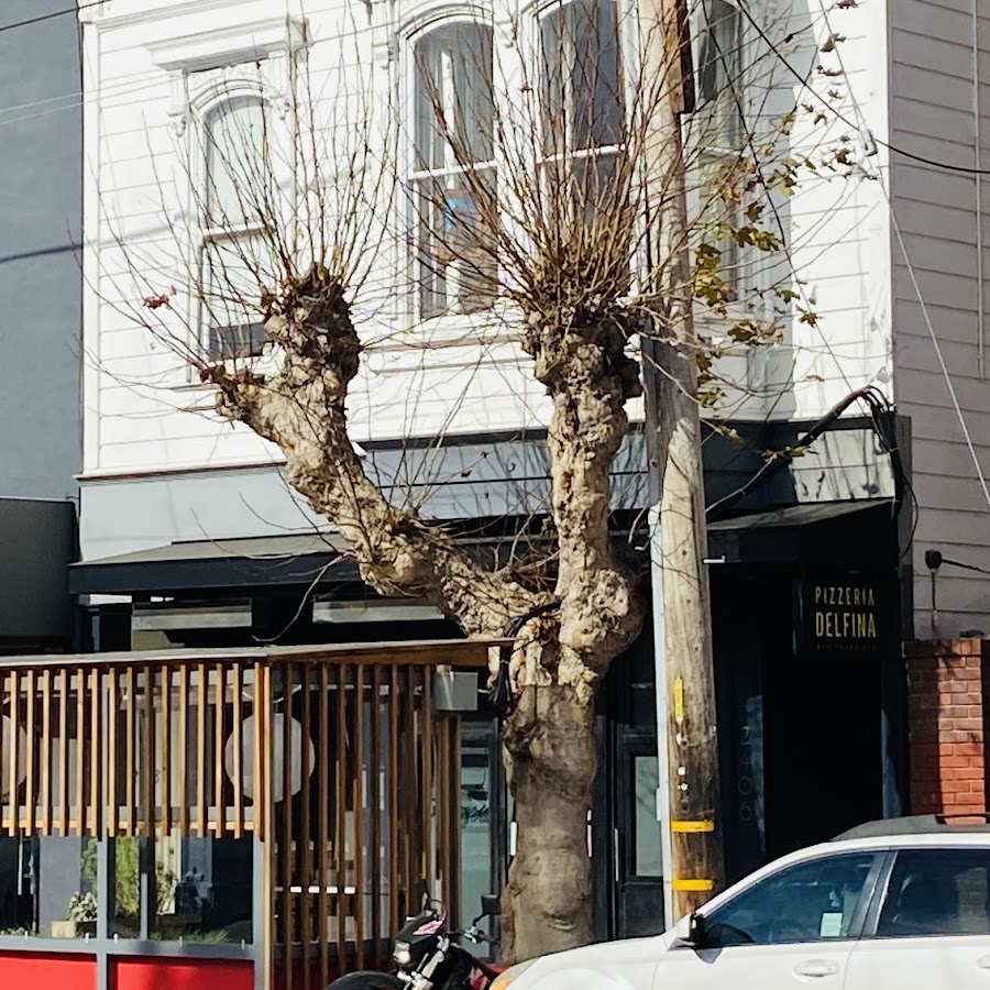 Pizzeria Delfina - Pacific Heights