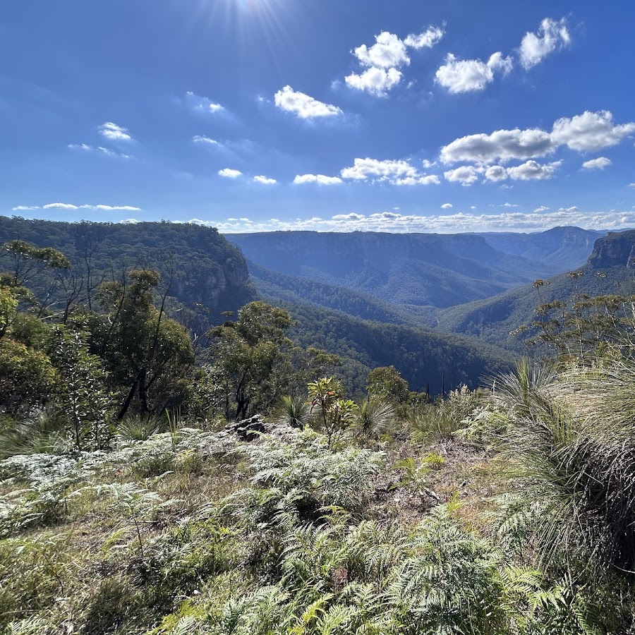 Point Pilcher Lookout - Medlow Bath