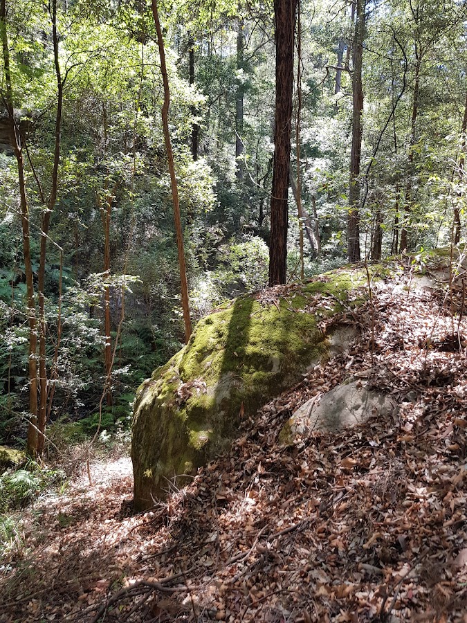 Red Hands Cave Walking Track