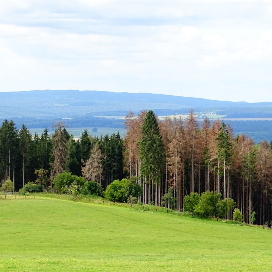 Hiking in Slavkov Forest
