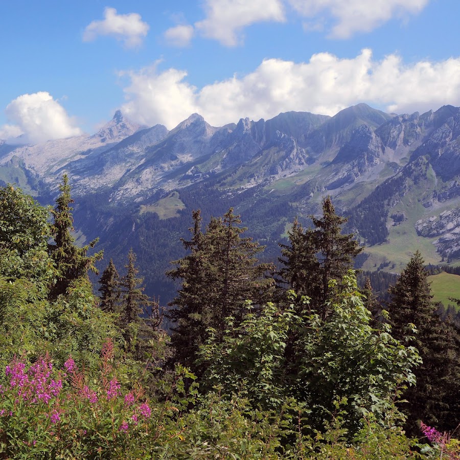 Tête du Danay