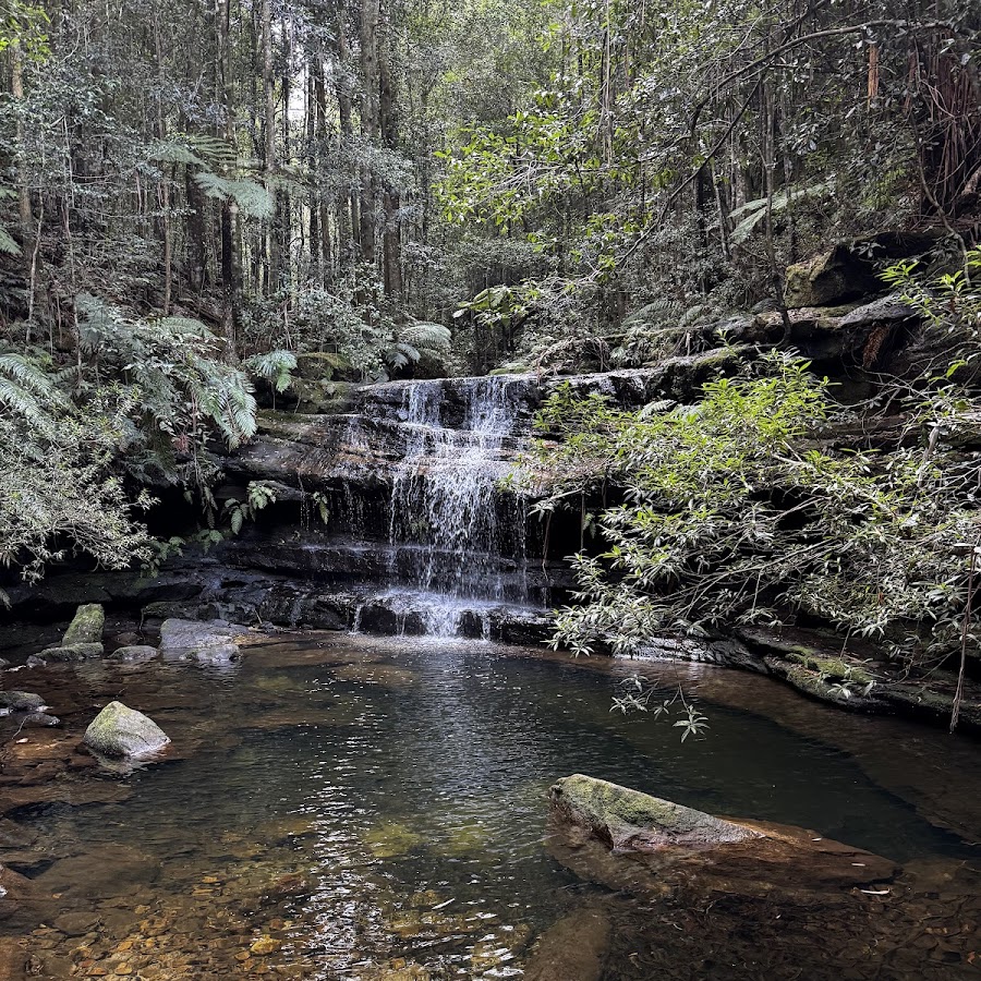 Terrace Falls Reserve Walking Track