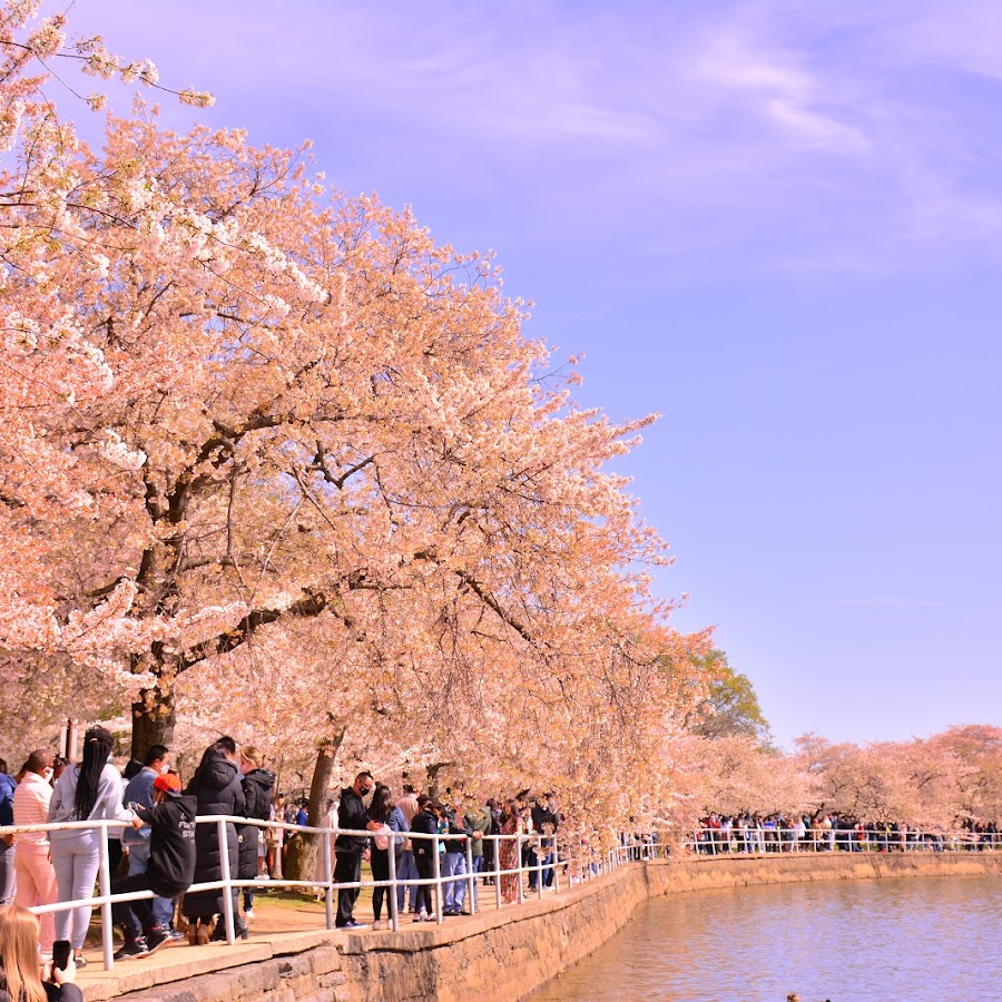 Tidal Basin