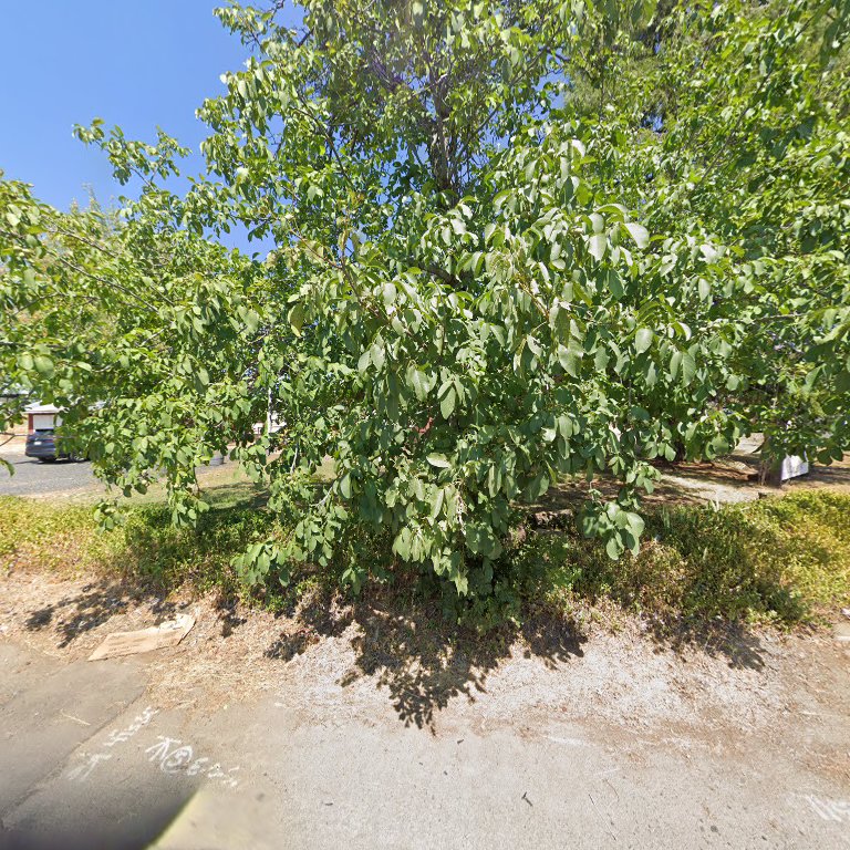 Treasures from Paradise