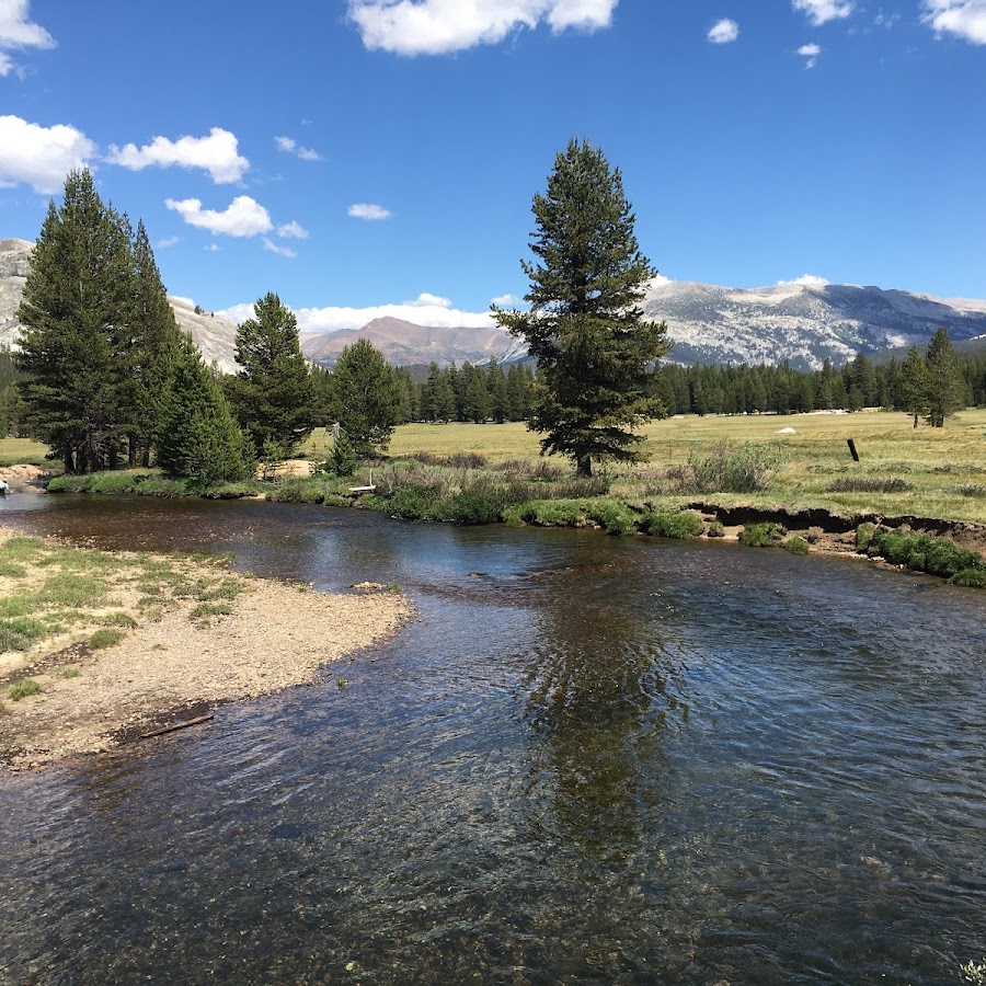 Tuolumne Meadows