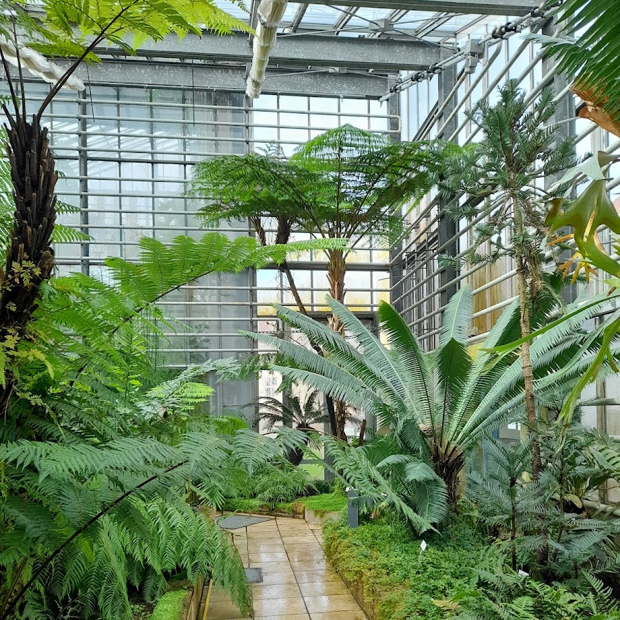 Freiburg Botanical Garden