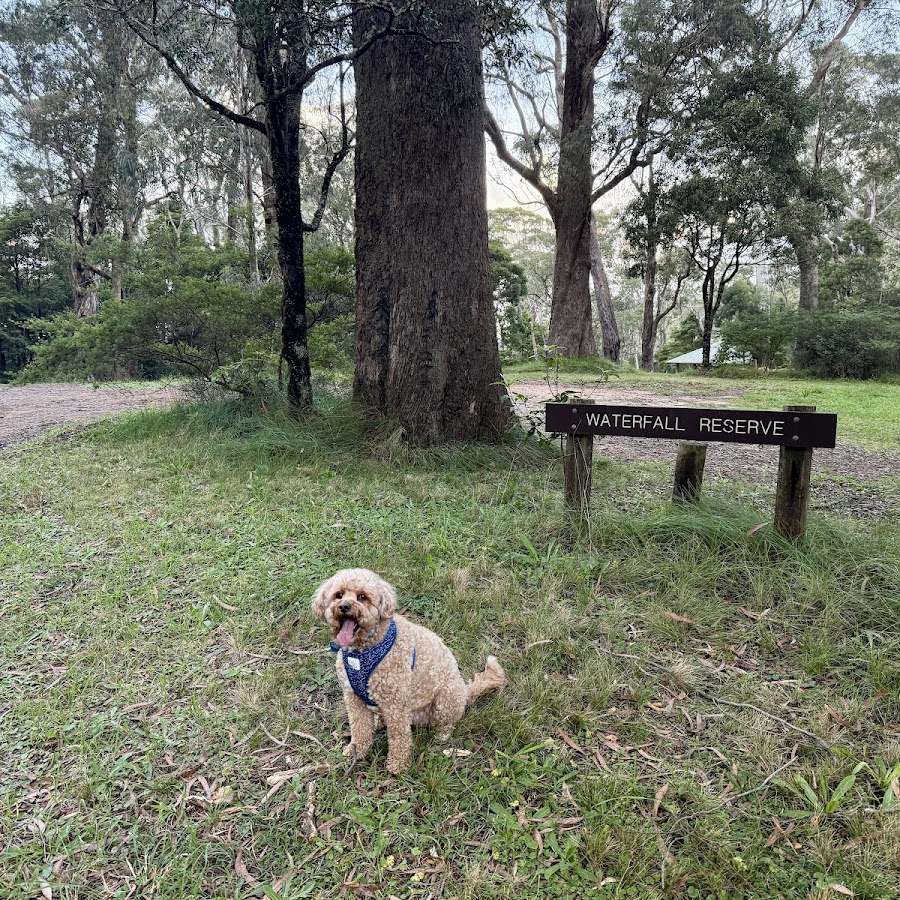 Waterfall Reserve - Mount Wilson