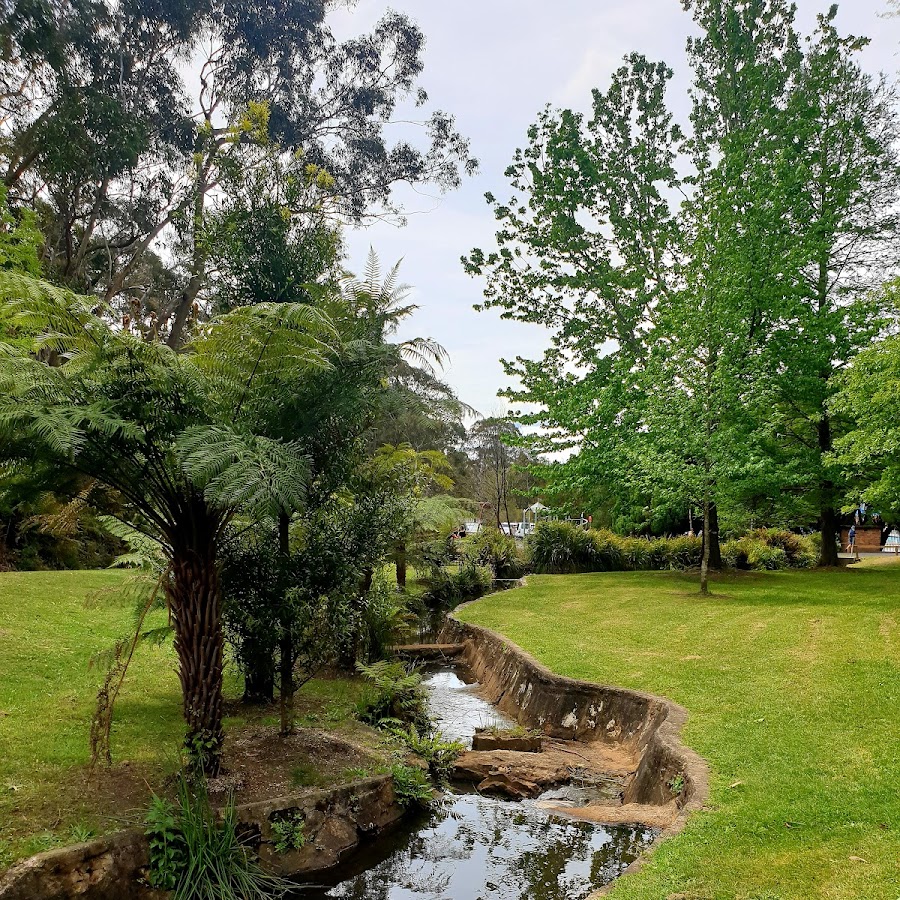 Wilson Park Lawson