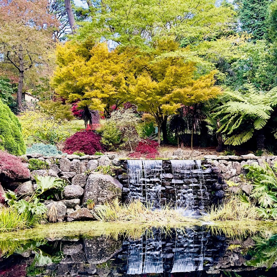 Windyridge Garden