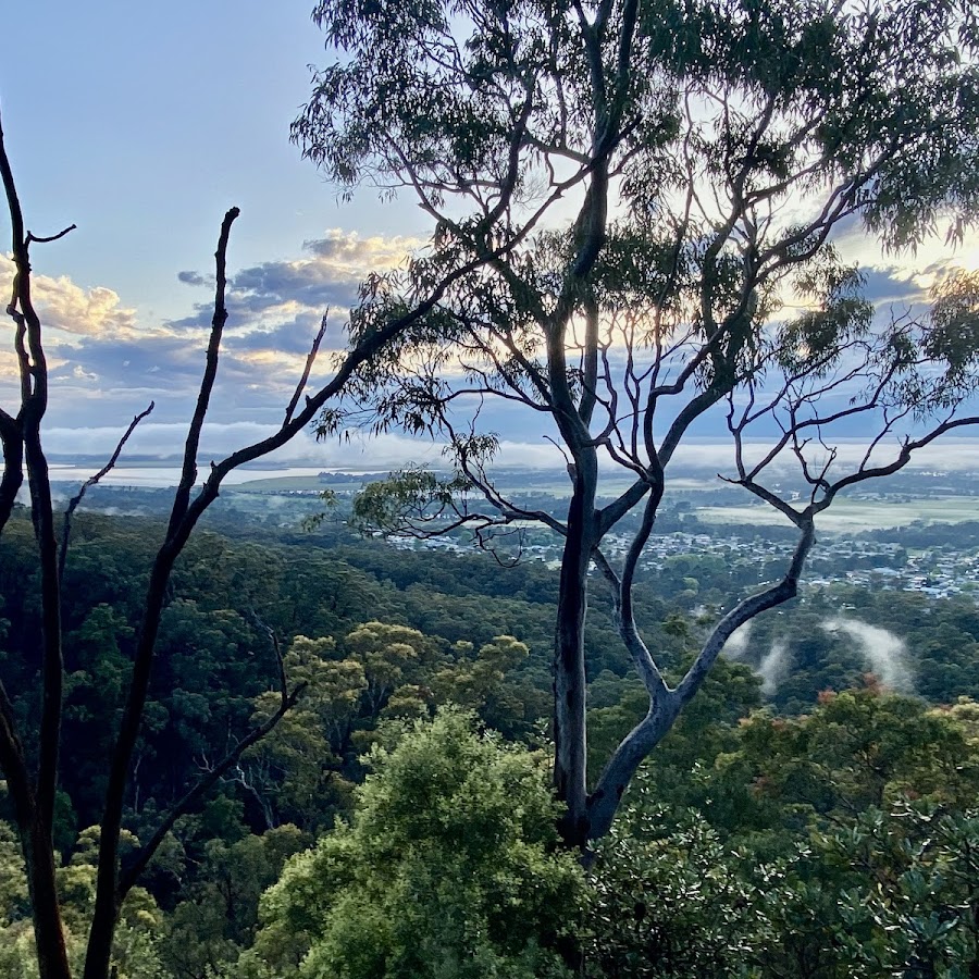 Yoogali Lookout