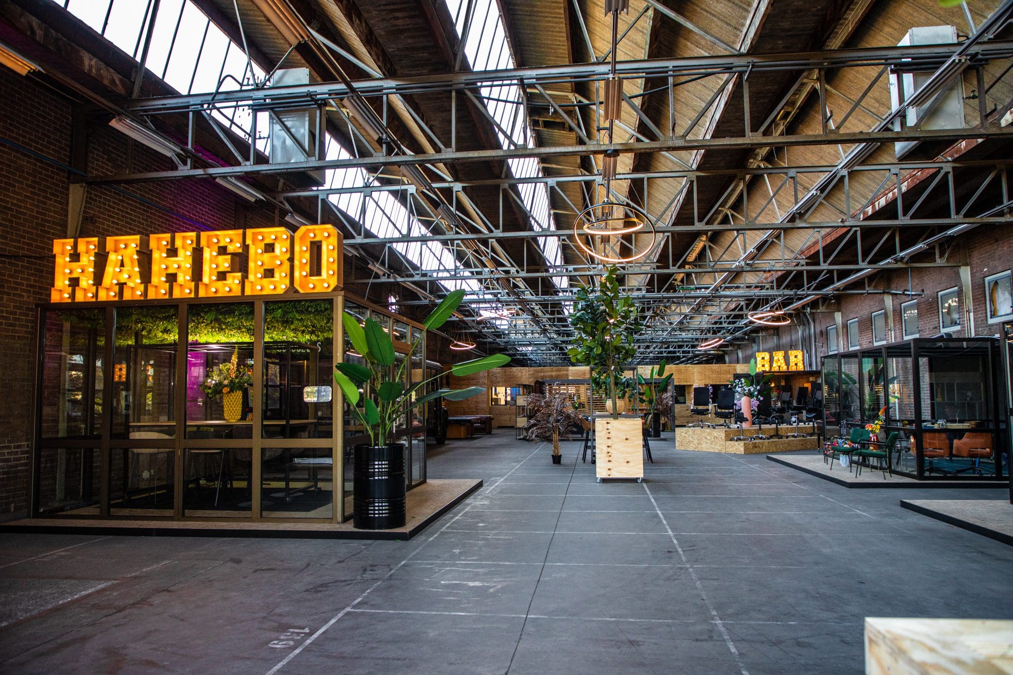 Hahebo