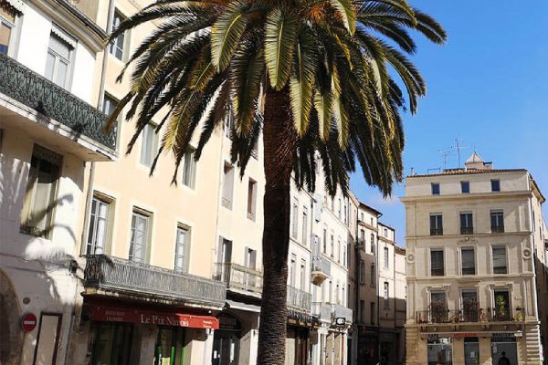 HÔTEL DE L'AMPHITHÉÂTRE