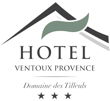 HÔTEL DOMAINE DES TILLEULS