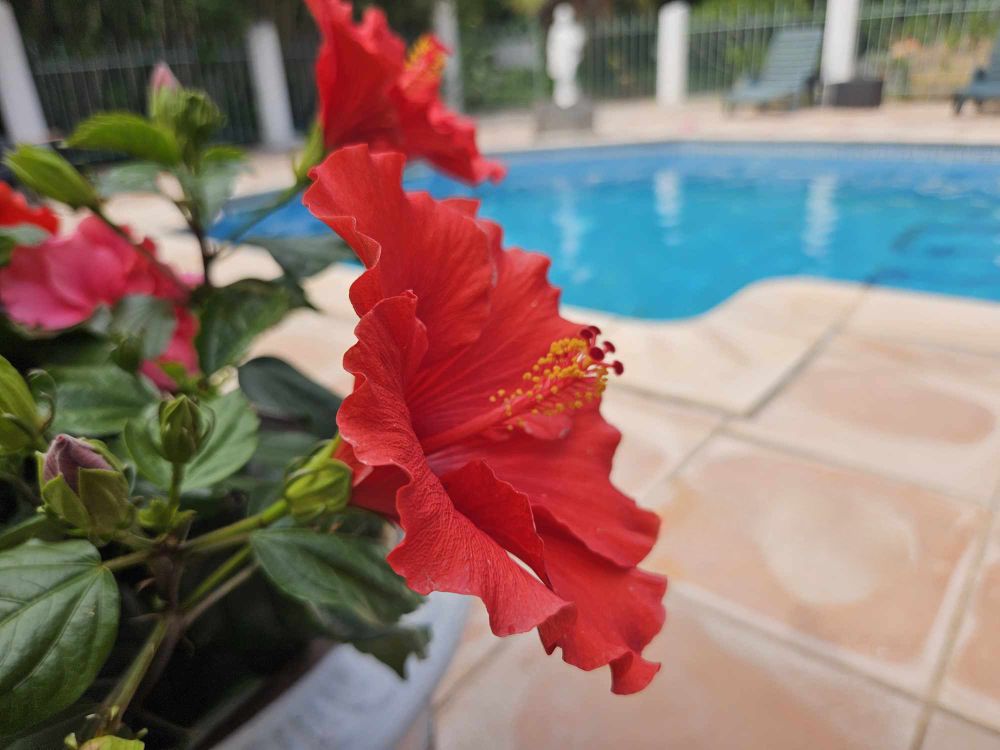 HÔTEL DU PATRIARCHE