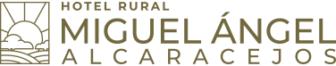 Miguel Angel SCA