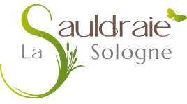 HÔTEL RESTAURANT LA SAULDRAIE