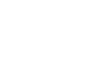 Torques