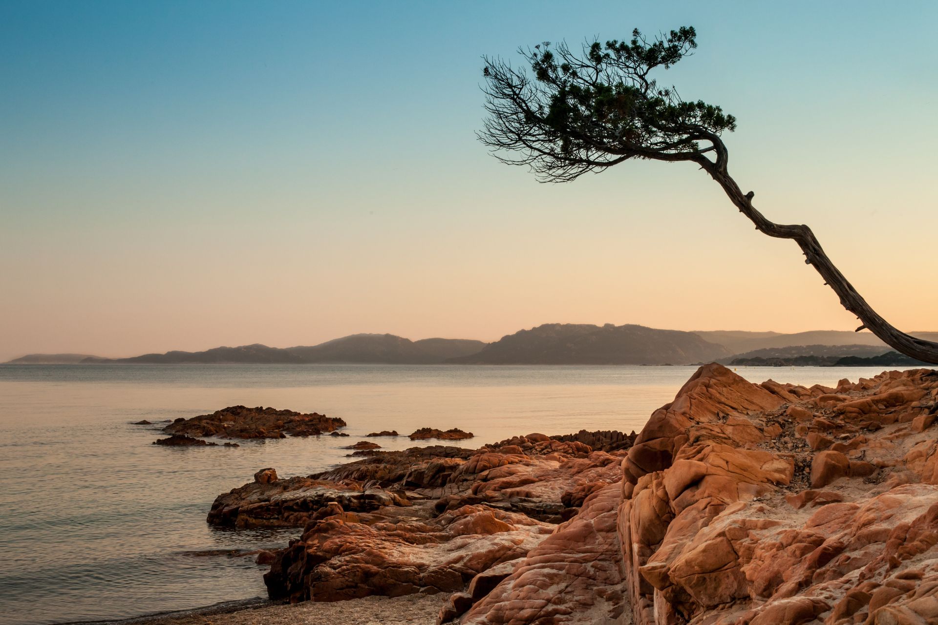 RÉSIDENCE U CANTU DI I CARDELLINI