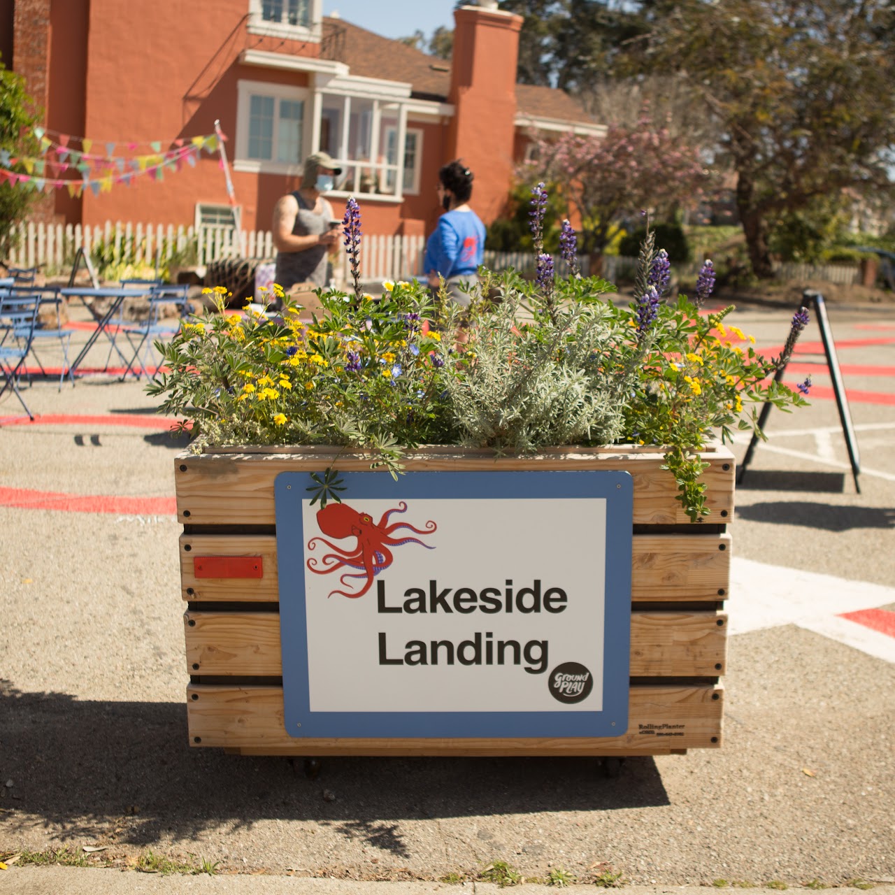 Volunteer: Clearing weeds