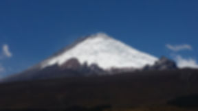 Acacias, Las