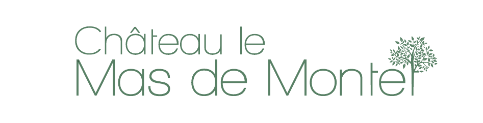 CHÂTEAU LE MAS DE MONTET