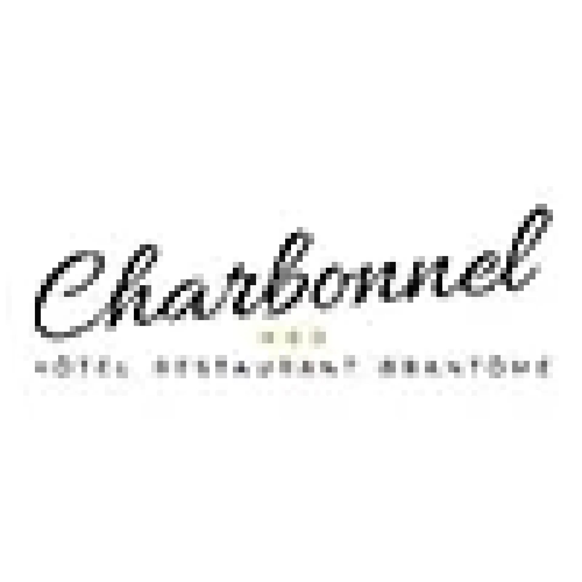 HÔTEL RESTAURANT CHARBONNEL
