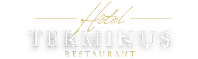 HÔTEL RESTAURANT LE TERMINUS