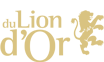 HOTEL LE LION D'OR