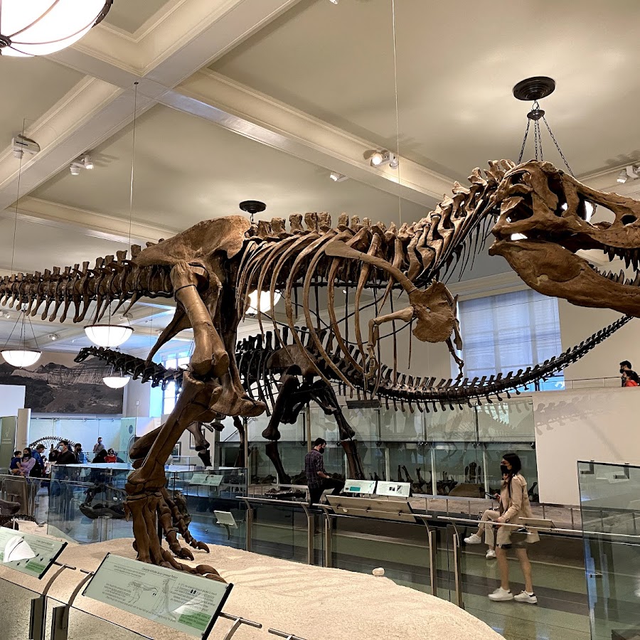 American Museum of Natural History