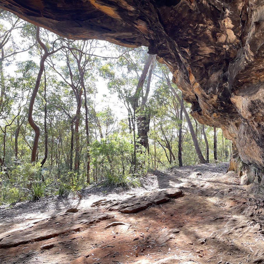 Kings Cave - Linden