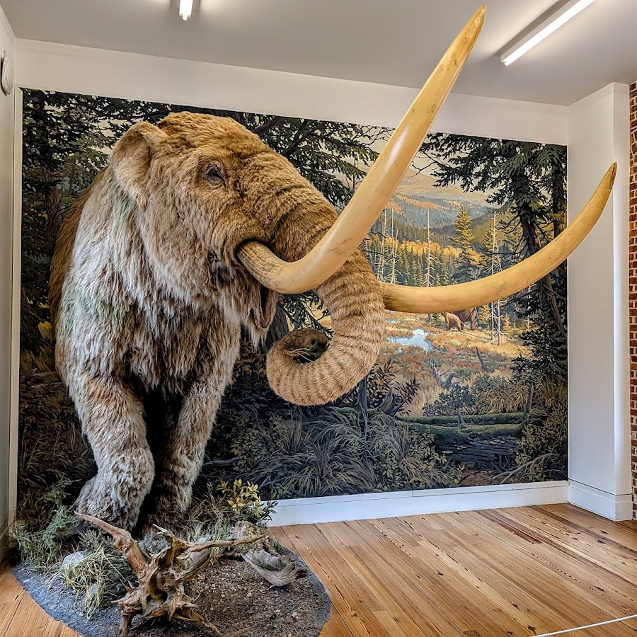 Staten Island Museum