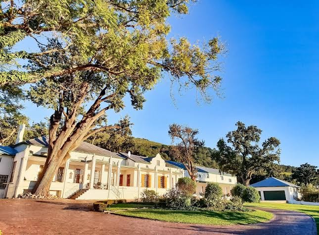 D'olyfboom Family Estate