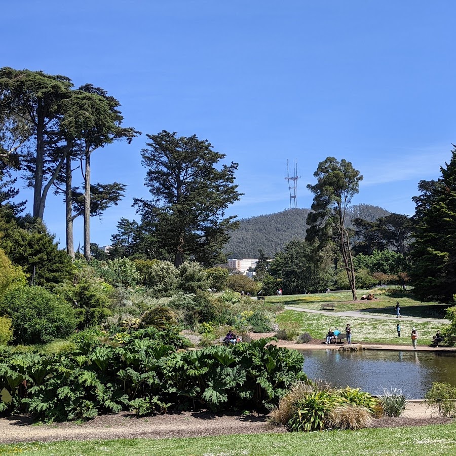 San Francisco Botanical Garden
