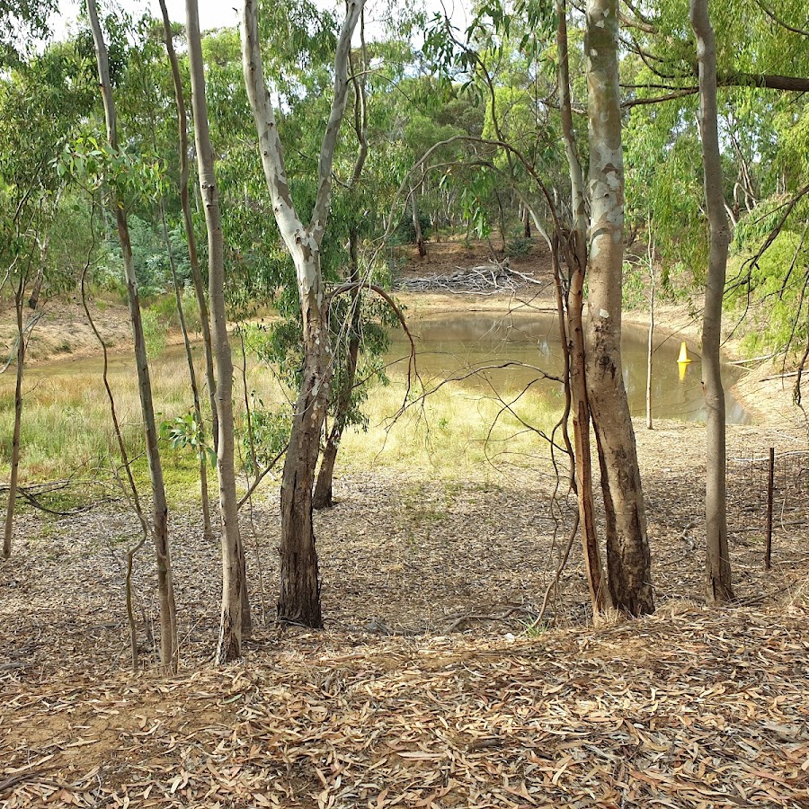 Healthy Sports Clubs Project, Dunolly FNC