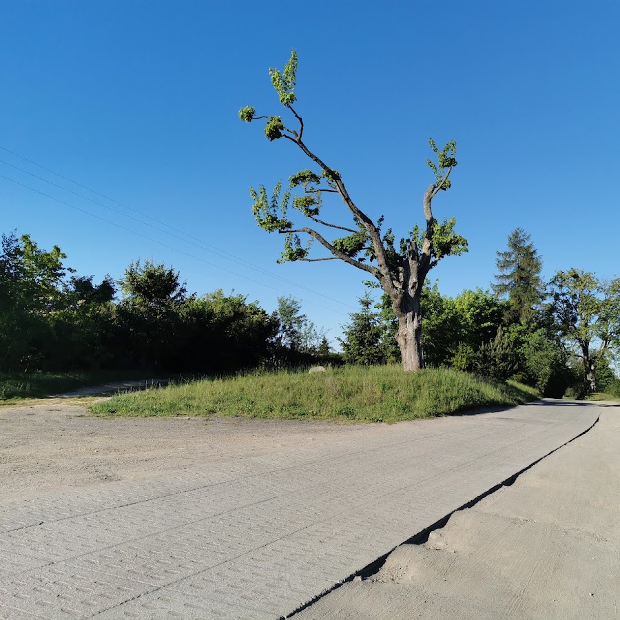 Majaland Gdańsk (otwarcie czerwiec 2024)