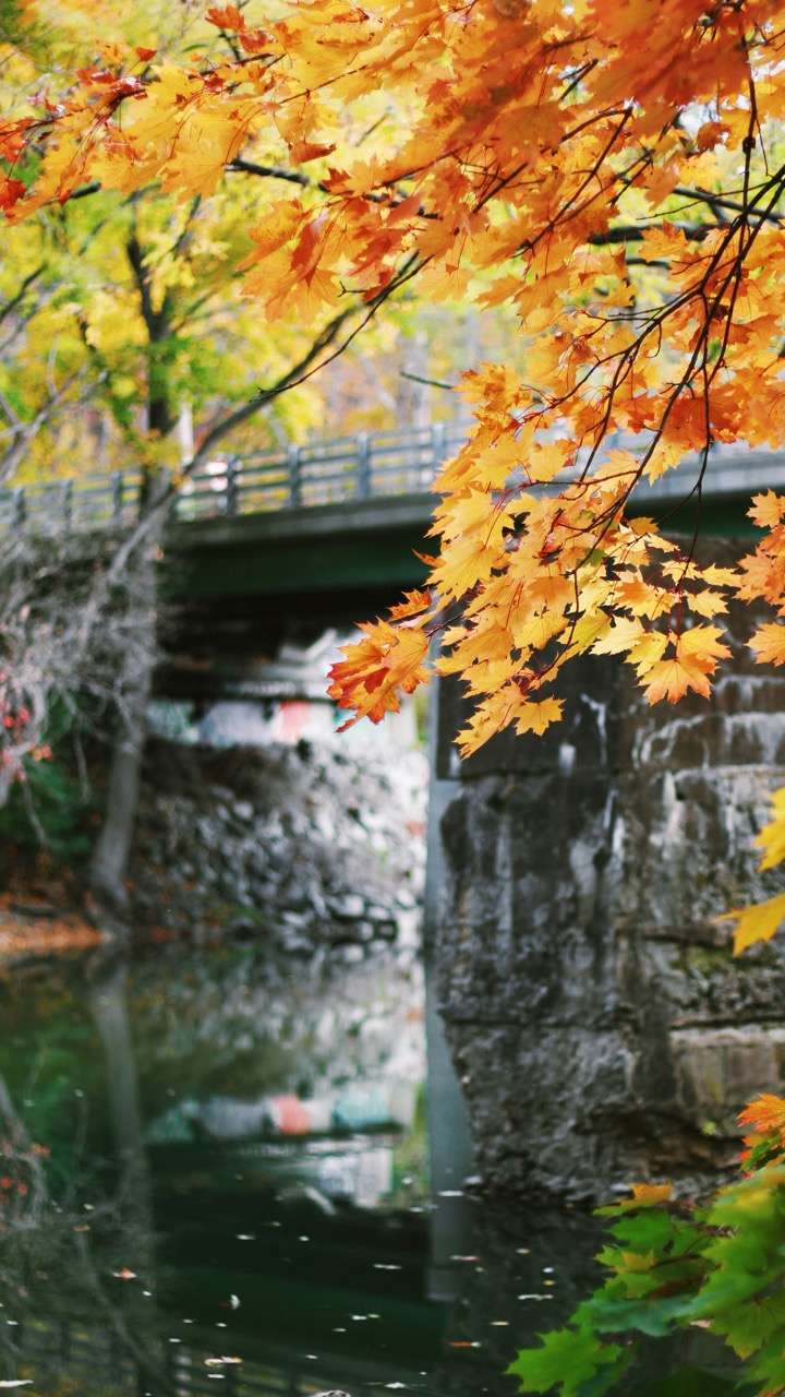 Finger Lakes Autumn Roadtrip