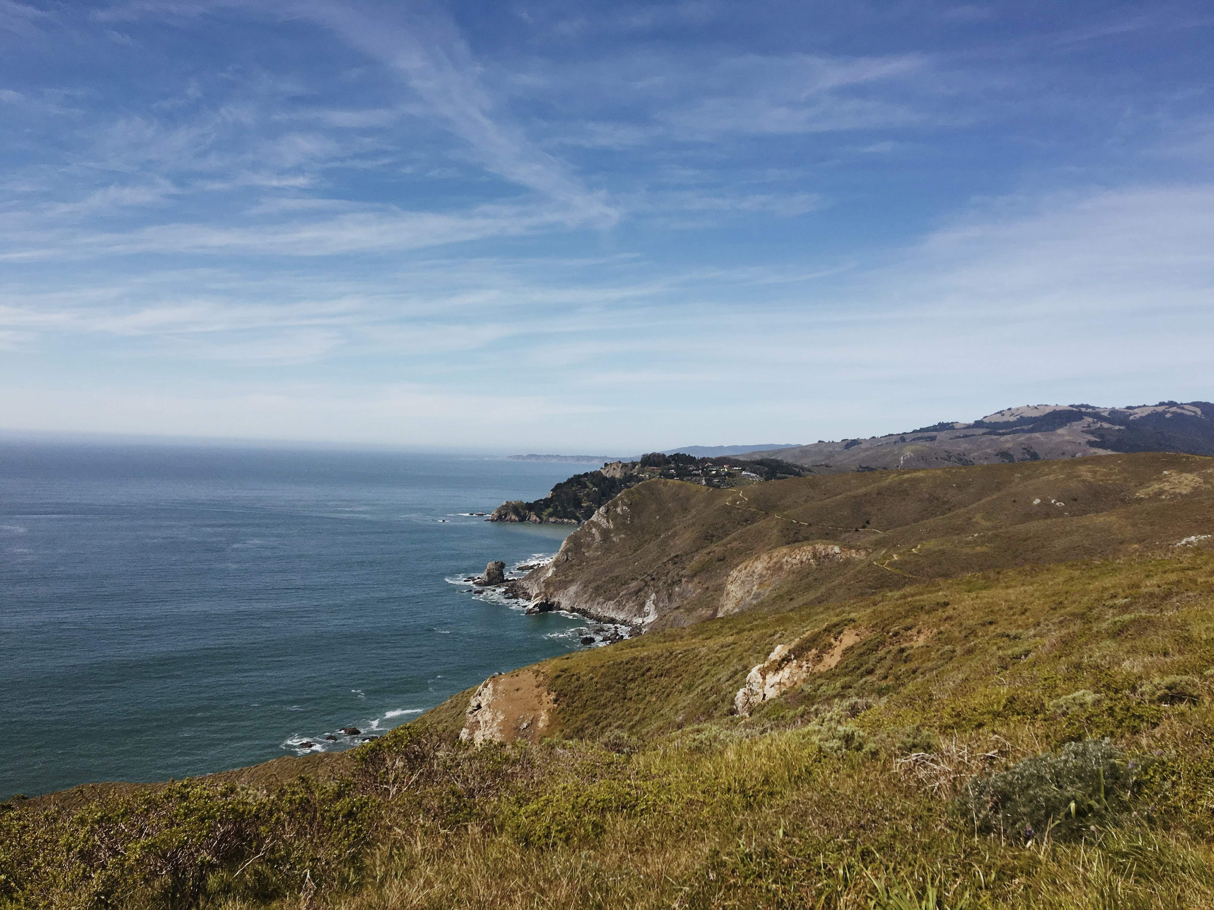Helena’s San Francisco · PamPam